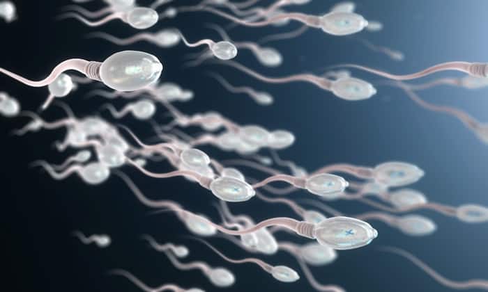 อสุจิแข็งแรง อีกปัจจัยสำคัญของการมีลูกที่ผู้ชายควรใส่ใจ