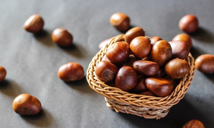 เกาลัดอเมริกา (American Chestnut)