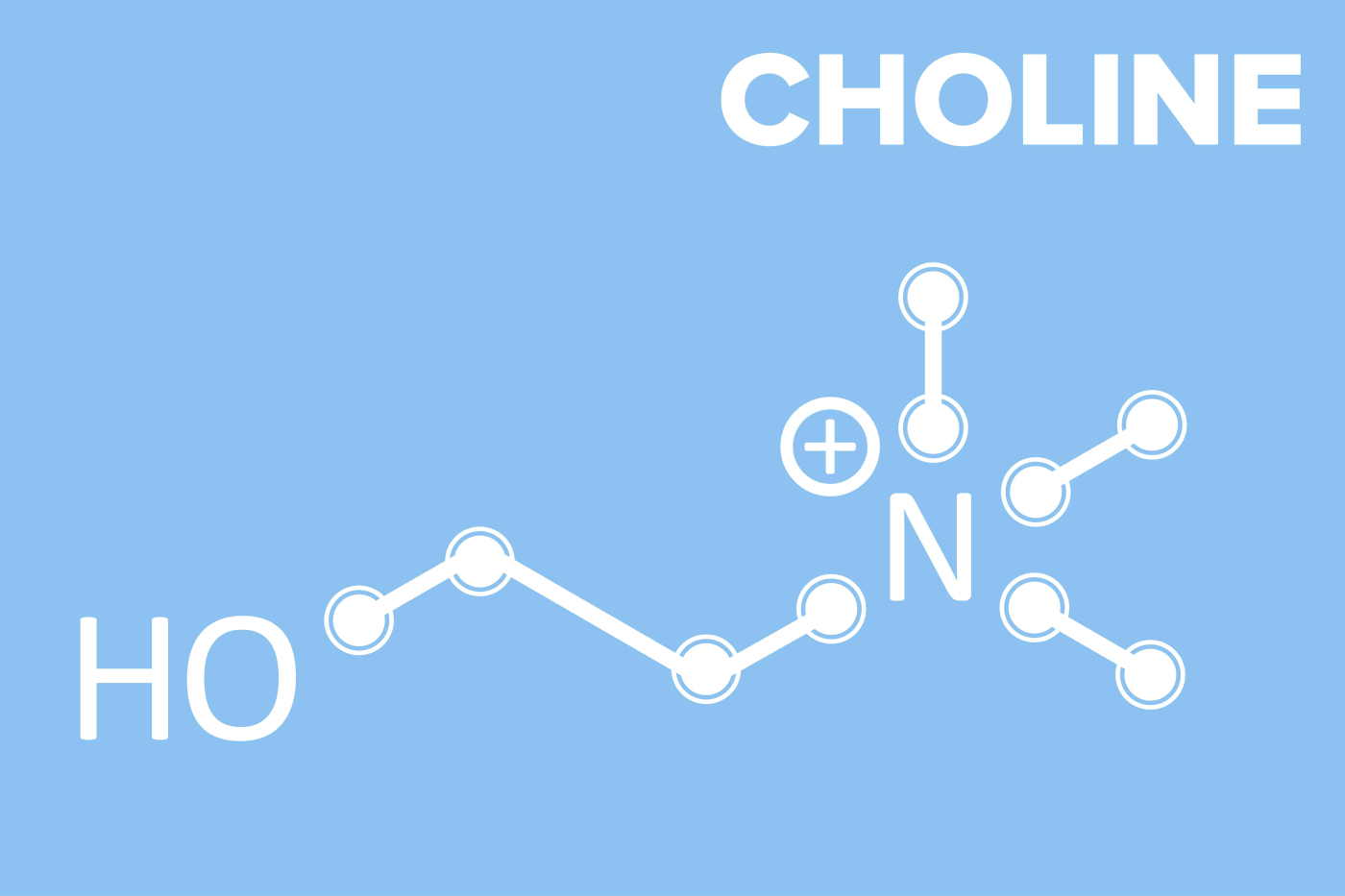 โคลีน (Choline)
