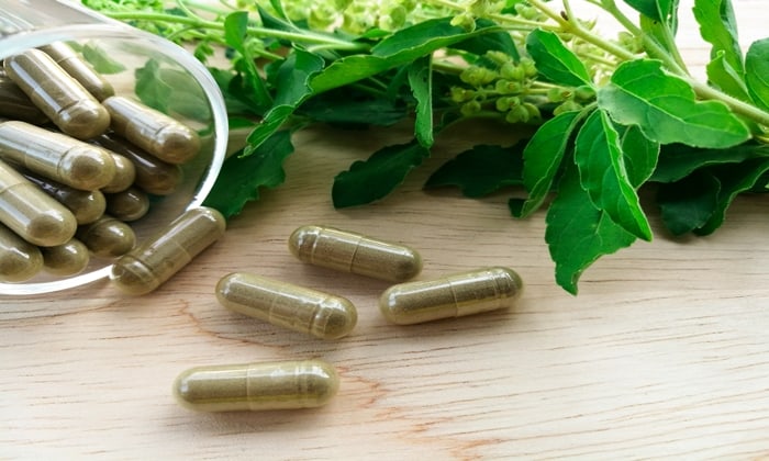 กะเพรา (Holy Basil)