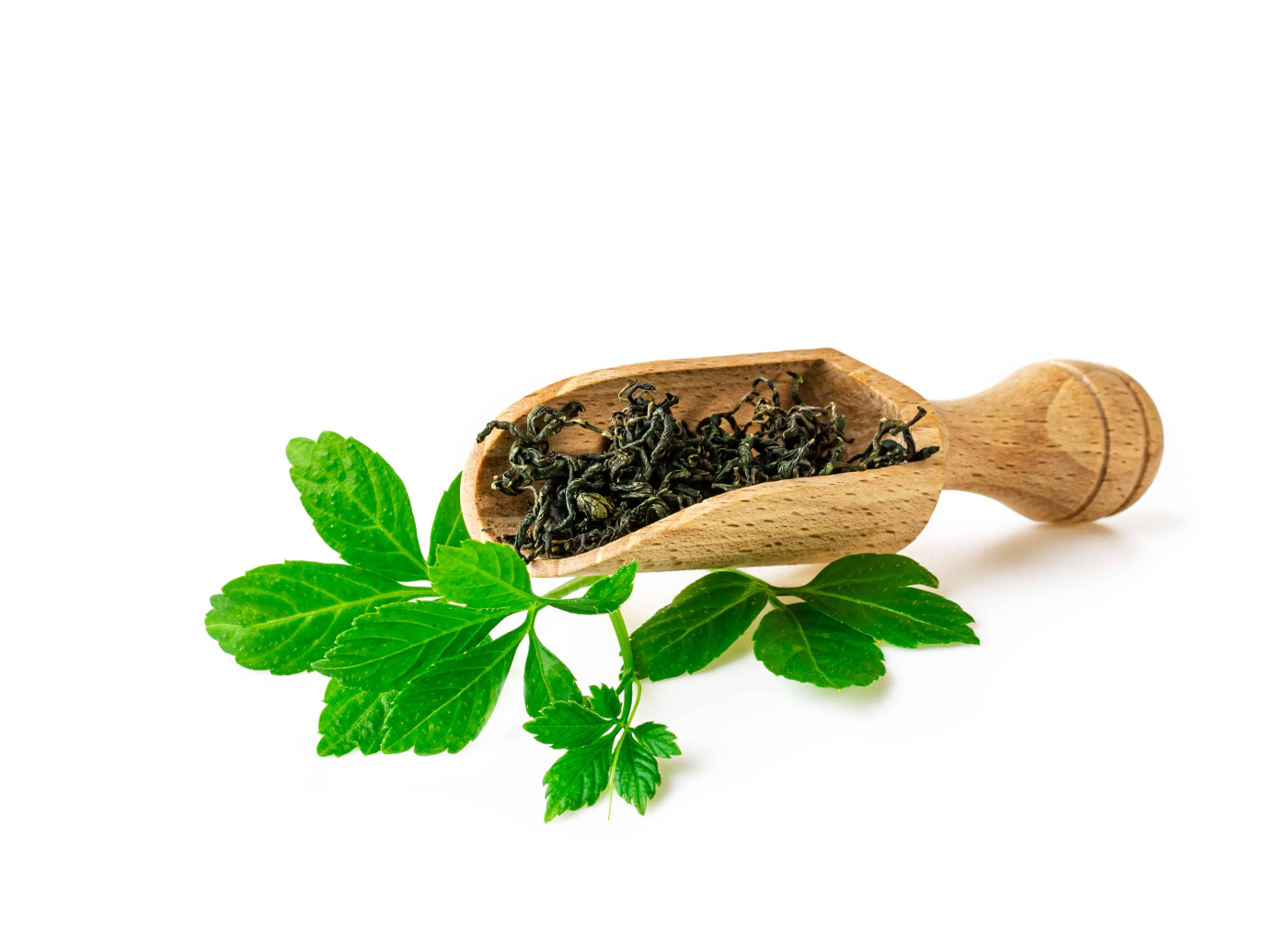 เจียวกู่หลาน (Jiaogulan)