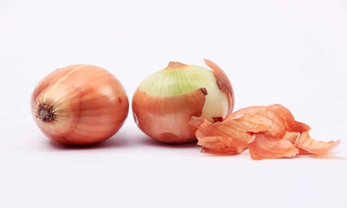 หัวหอม (Onion)