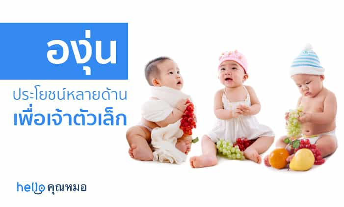 ประโยชน์ขององุ่น แหล่งสารอาหารที่ดีสำหรับลูกน้อย