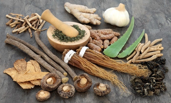 สมุนไพรลดไขมันในเลือด ประโยชน์จากการแพทย์ทางเลือก