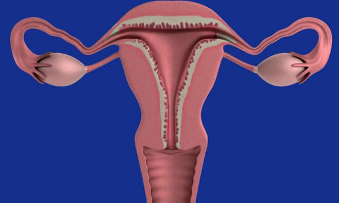 ภาวะหมดประจำเดือนก่อนวัยอันควร (Premature Menopause)