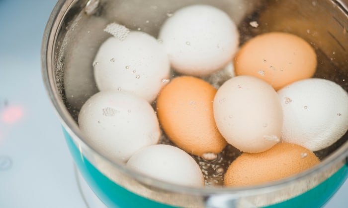 ซาลโมเนลลา เชื้อแบคทีเรียในไข่ไก่ เราควรต้องกลัวหรือเปล่า