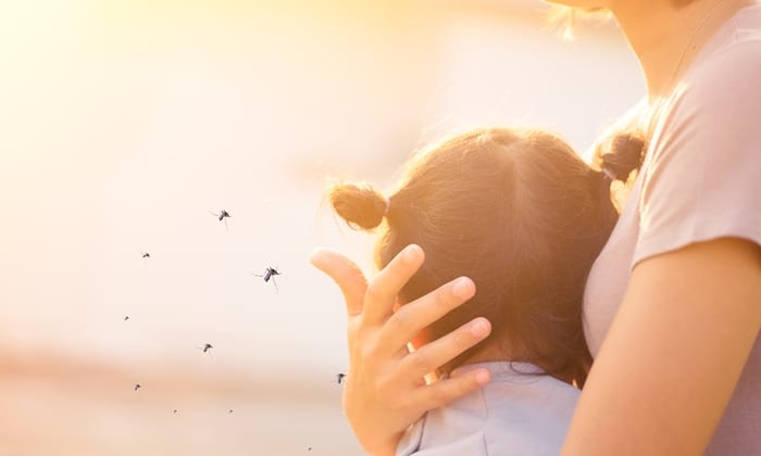 ไข้เลือดออกในเด็ก อาการและวิธีรับมือที่ควรรู้