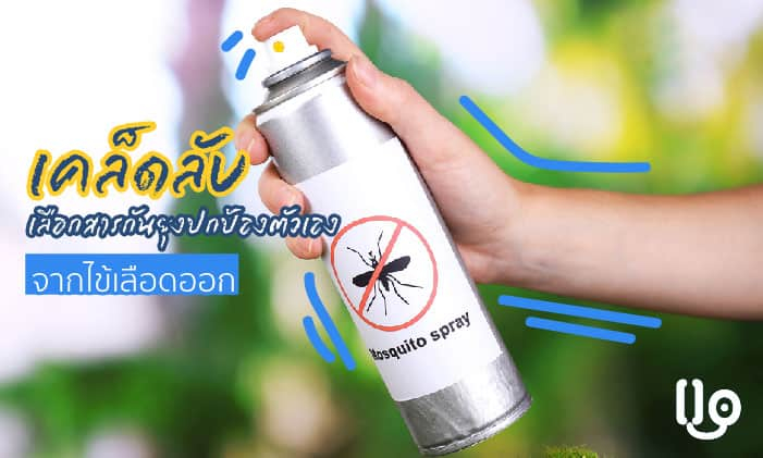 เคล็ดลับเลือกสารกันยุง ปกป้องตัวเองจาก ไข้เลือดออก