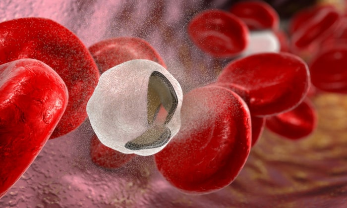 โลหิตจางจากการขาดวิตามิน (Vitamin Deficiency Anemia)