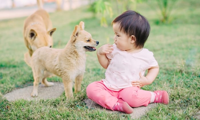 ท่าทางเด็ก แบบไหนที่เรียกว่า ท่าทางผิดรูป