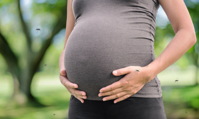 คุณแม่ตั้งครรภ์ ไวรัสซิก้า ภัยร้ายที่ติดต่อได้ทางเพศสัมพันธ์