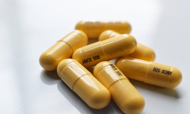 อะม็อกซีซิลลิน (Amoxicillin)