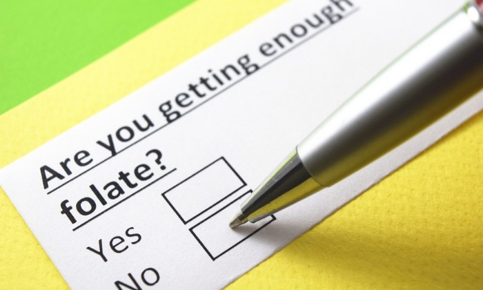 โลหิตจางจากการขาดโฟเลต (Folate Deficiency Anemia)