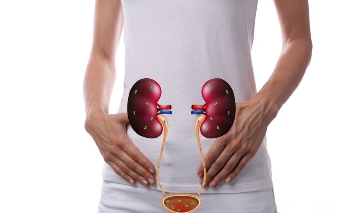 ติดเชื้อในทางเดินปัสสาวะ (Urinary tract infection)