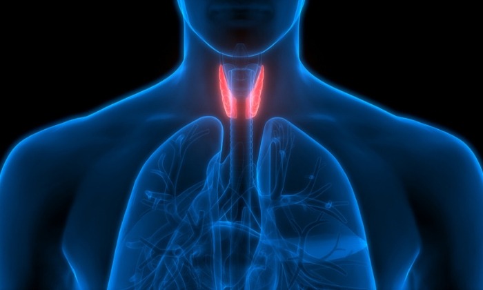 ต่อมไทรอยด์ทำงานเกิน (Hyperthyroidism)