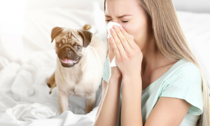 ปัจจัยเสี่ยง กระตุ้นอาการหอบหืด ที่คุณควรรู้จักไว้