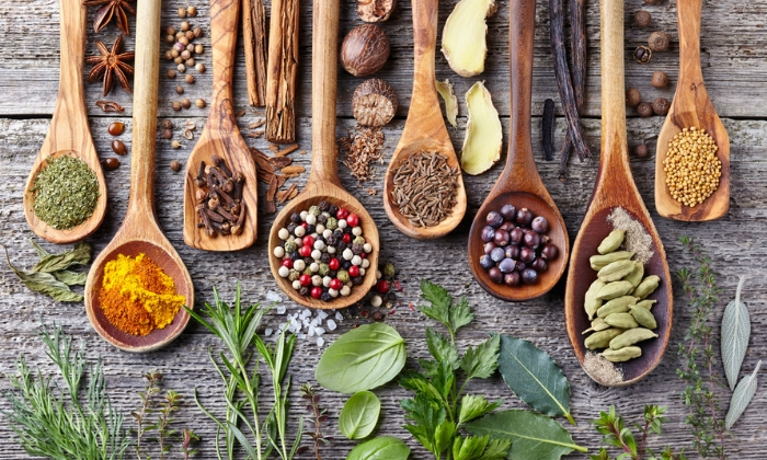 การใช้สมุนไพร ให้ได้ประโยชน์สูงสุด ต้องคำนึงถึงอะไรบ้าง?