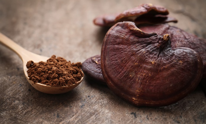 เห็ดหลินจือ สมุนไพรต้านมะเร็ง พร้อมประโยชน์ดีๆ ต่อสุขภาพ