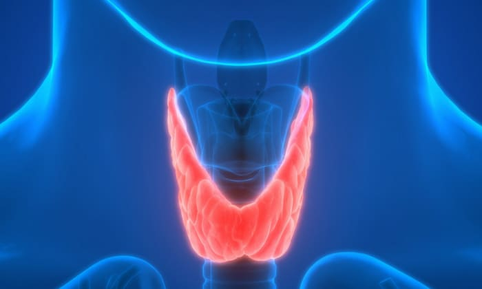 มารู้ทัน!! มะเร็งต่อมพาราไทรอยด์ (Parathyroid Cancer) ก่อนสาย