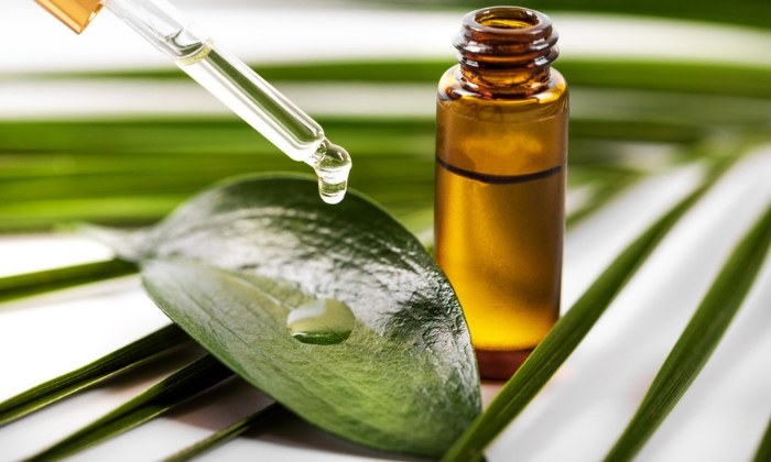 ทีทรีออยล์ ไม่ได้มีดีแค่ด้านความงาม แต่ยังช่วยต้านโรคอีกด้วย