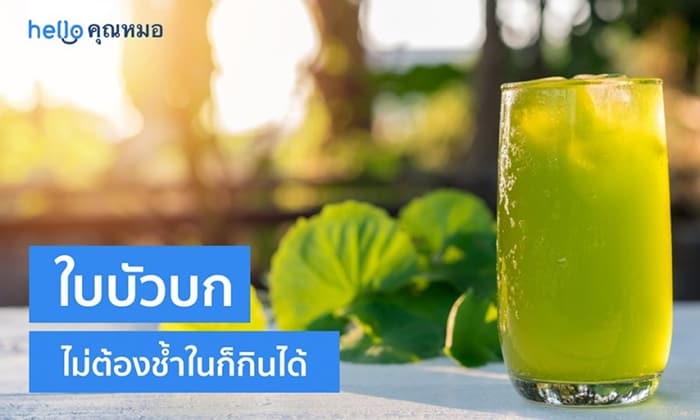 ใบบัวบก ไม่ต้องช้ำในก็กินได้และกินดี มีประโยชน์สุขภาพสารพัดอย่าง