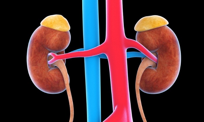ท่อไตอุดตัน (Ureteral Obstruction)