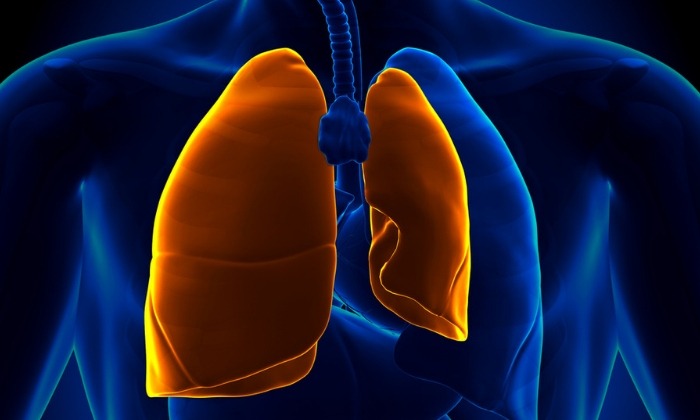 ปอดแฟบ (Atelectasis)