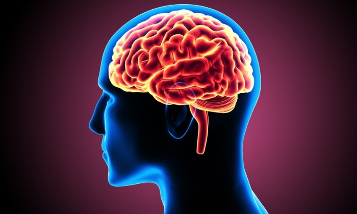 โรคสมองจากโรคตับ (Hepatic encephalopathy)