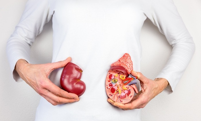 เบาหวานลงไต ความสัมพันธ์ระหว่างไตและโรคเบาหวานที่ควรรู้