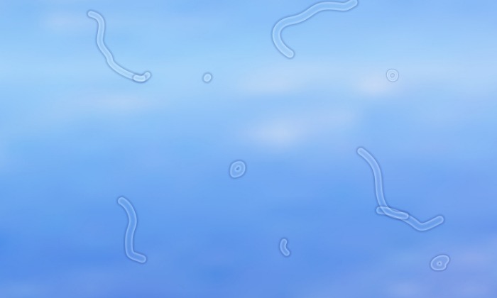 มองเห็นเส้นใยใสๆ ลอยในอากาศ ภาวะเสี่ยงเป็น วุ้นตาเสื่อม