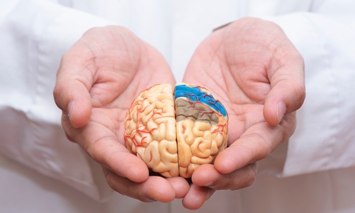 ผลกระทบของโรคหลอดเลือดสมอง ต่ออวัยวะต่างๆ ของร่างกาย