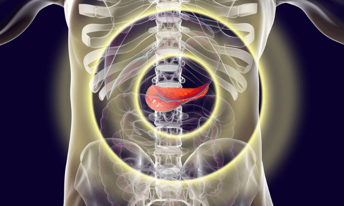 ตับอ่อนอักเสบเรื้อรัง ภาวะอันตราย กับอาการที่ควรสังเกต
