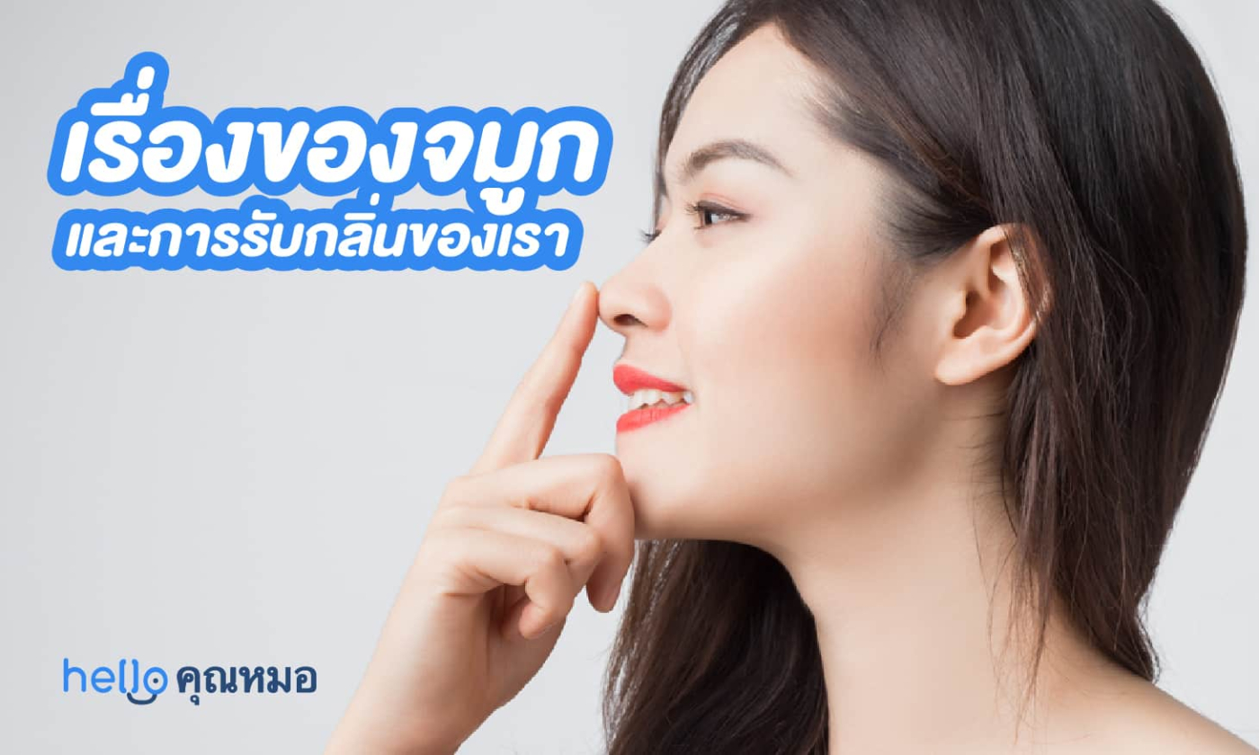 ข้อเท็จจริงอันน่าอัศจรรย์เกี่ยวกับ จมูก และการรับกลิ่นของคนเรา