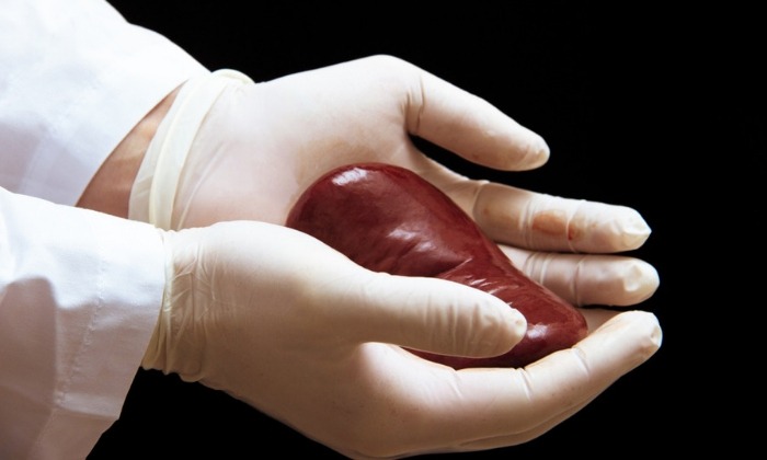 โรคไตวายเฉียบพลัน (Acute Kidney Failure)