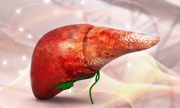 โรคตับ (Liver disease)