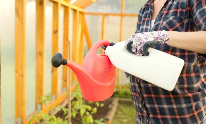 ยาฆ่าแมลง อันตรายที่ แม่ท้อง ไม่ควรมองข้าม