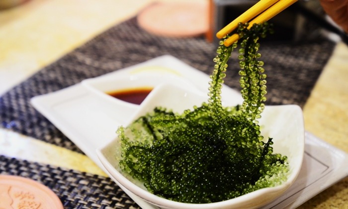 สาหร่ายพวงองุ่น ของอร่อยแคลอรีต่ำ แต่ประโยชน์สูง