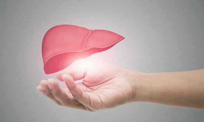 ความแตกต่างของ โรคตับชนิดต่างๆ มีอะไรบ้างที่ควรรู้