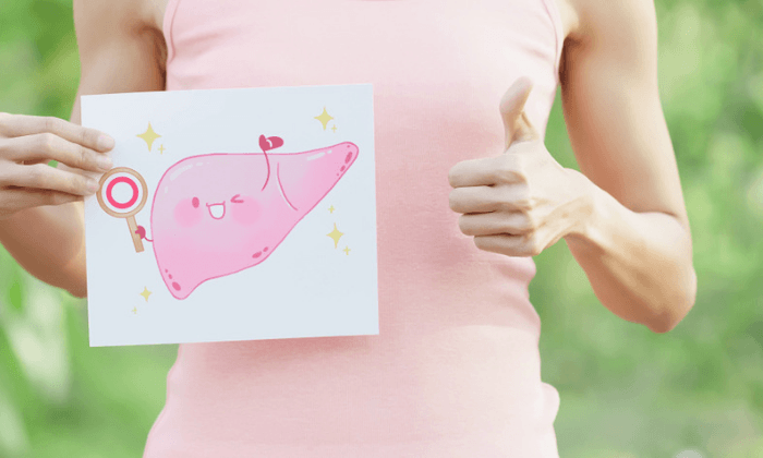 ตับของเรา ทำงานอย่างไรและสำคัญขนาดไหน?