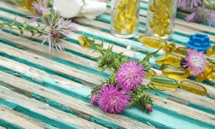 มิลค์ทิสเซิล เป็นสมุนไพรที่ช่วยขับสารพิษจากตับได้จริงหรือ?