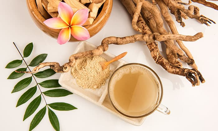 ปลาไหลเผือก (Eurycoma Longifolia)