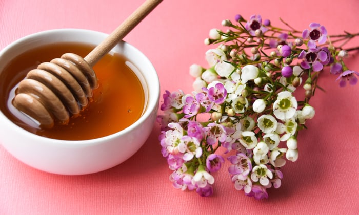 น้ำผึ้งมานูก้า คุณประโยชน์ดีๆ จากต้นมานูก้าที่ไม่ควรพลาด