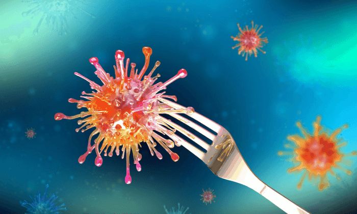 ภาวะอาหารเป็นพิษ (Food Poisoning)