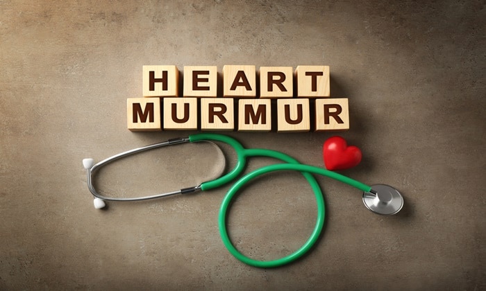 เสียงฟู่ของหัวใจ (Heart murmur)
