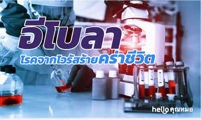 ทำความรู้จักกับ อีโบลา โรคจากไวรัสร้ายคร่าชีวิต