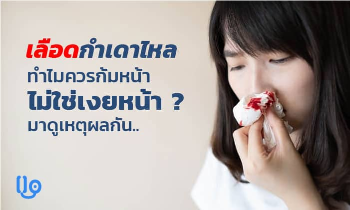 เลือดกำเดาไหล ทำไมควรก้มหน้า ไม่ใช่เงยหน้า? มาดูเหตุผลกัน