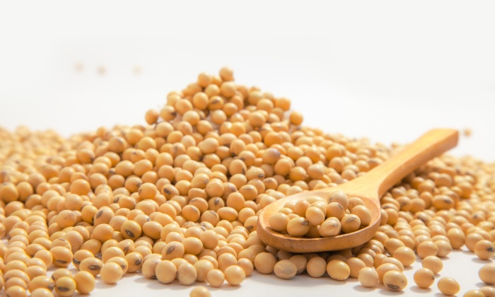 โปรตีนจากถั่วเหลือง ทางเลือกสำหรับคนรักสุขภาพ