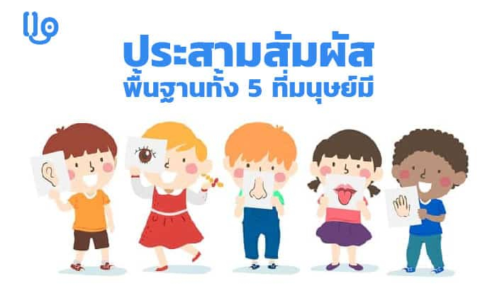 ทำความรู้จักกับ ประสาทสัมผัส พื้นฐานทั้ง 5 ที่มนุษย์มี