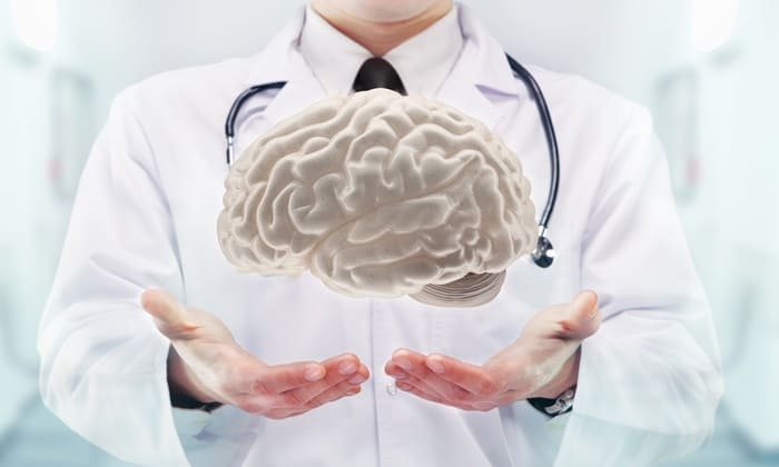 น้ำหนักสมอง ของคนเราหนักเท่าไหร่? มันคือก้อนไขมันจริงหรือ?