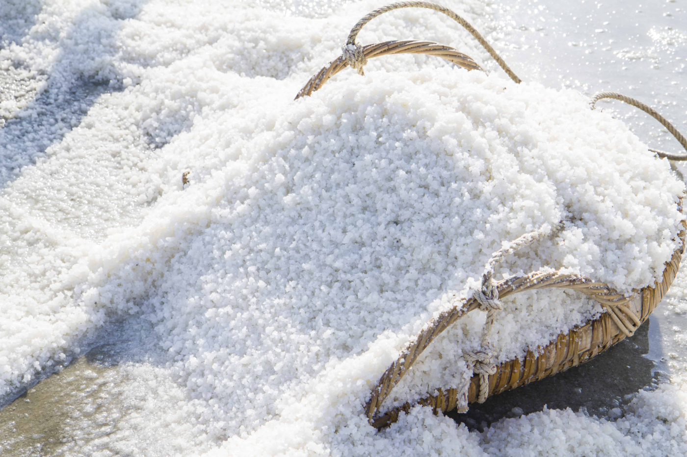 มหัศจรรย์ ดอกเกลือ กับคุณประโยชน์รอบด้าน